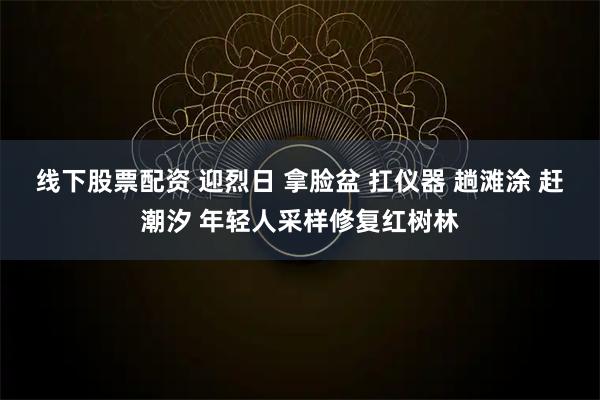 线下股票配资 迎烈日 拿脸盆 扛仪器 趟滩涂 赶潮汐 年轻人采样修复红树林